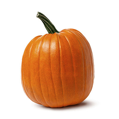 citrouilles, vente de citrouilles, cueillette, courges