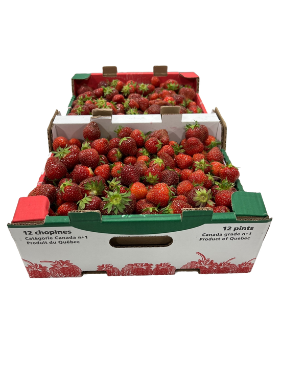 fraises, casseau de fraises, fraises du Québec
