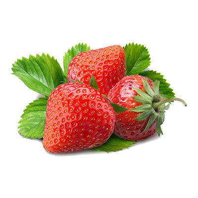 fraises, fraises du Québec, cueillette de fraises